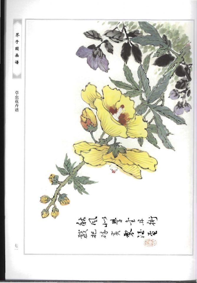 经典中国画摹本《芥子园画谱》花鸟篇:第三集