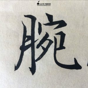 赵孟頫松雪斋书论书法练习教学,楷书教学